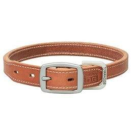 Hydrid Dog Collar, 1 x 21-In.