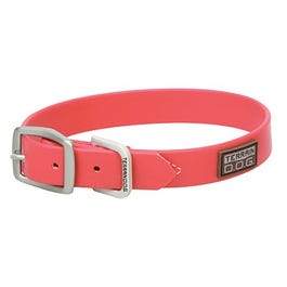 Brahma Webb Dog Collar, Hot Pink, 1 x 21-In.