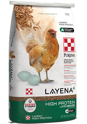 Purina® Layena® + High Protein Layer Feed (10 Lbs)