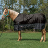 Weaver Equine Economy Turnout Blanket, 600-Denier