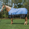 Weaver Equine Economy Turnout Blanket, 600-Denier