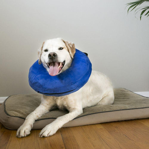 KONG Cloud Collar For Dogs