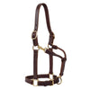 Weaver Equine Track Halter