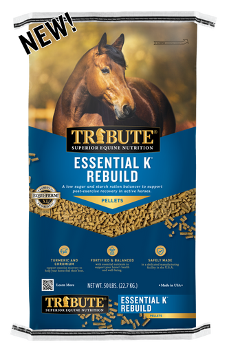Tribute Equine Nutrition Essential K® Rebuild Ration Balancer with Turmeric and Chromium