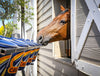 Cavalor Strucomix Senior Horse Feed (20 Kg)