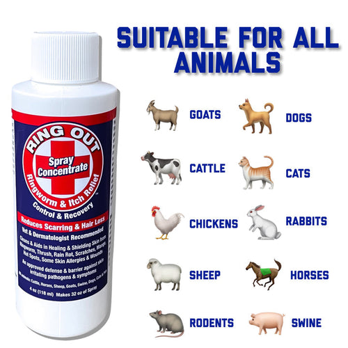 FlexTran Ring Out Concentrate Spray For Ringworm Control. Works on All Pets & Livestock!