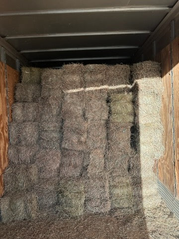 Mixed Grass Hay Bale (1 Bale)