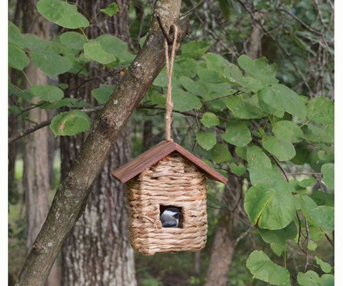 Songbird Essentials Hanging Grass Roosting Pocket with Roof