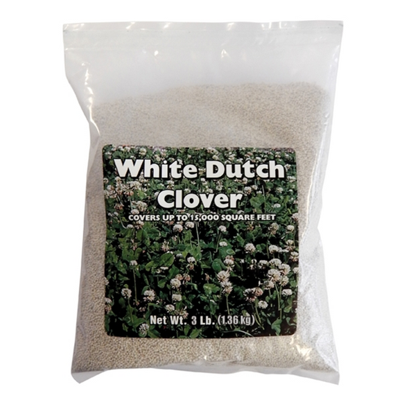 Southern States® White Clover