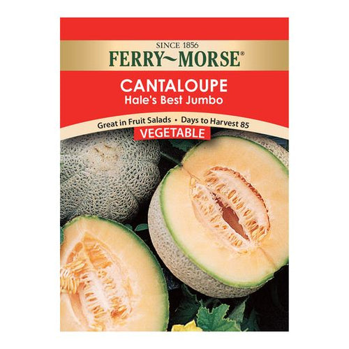 Ferry-Morse Cantaloupe Seeds, Hale's Best Jumbo